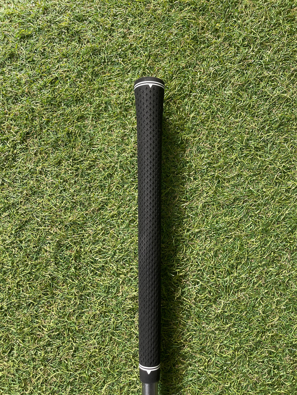Cleveland Bloom Hibore Hybride 4