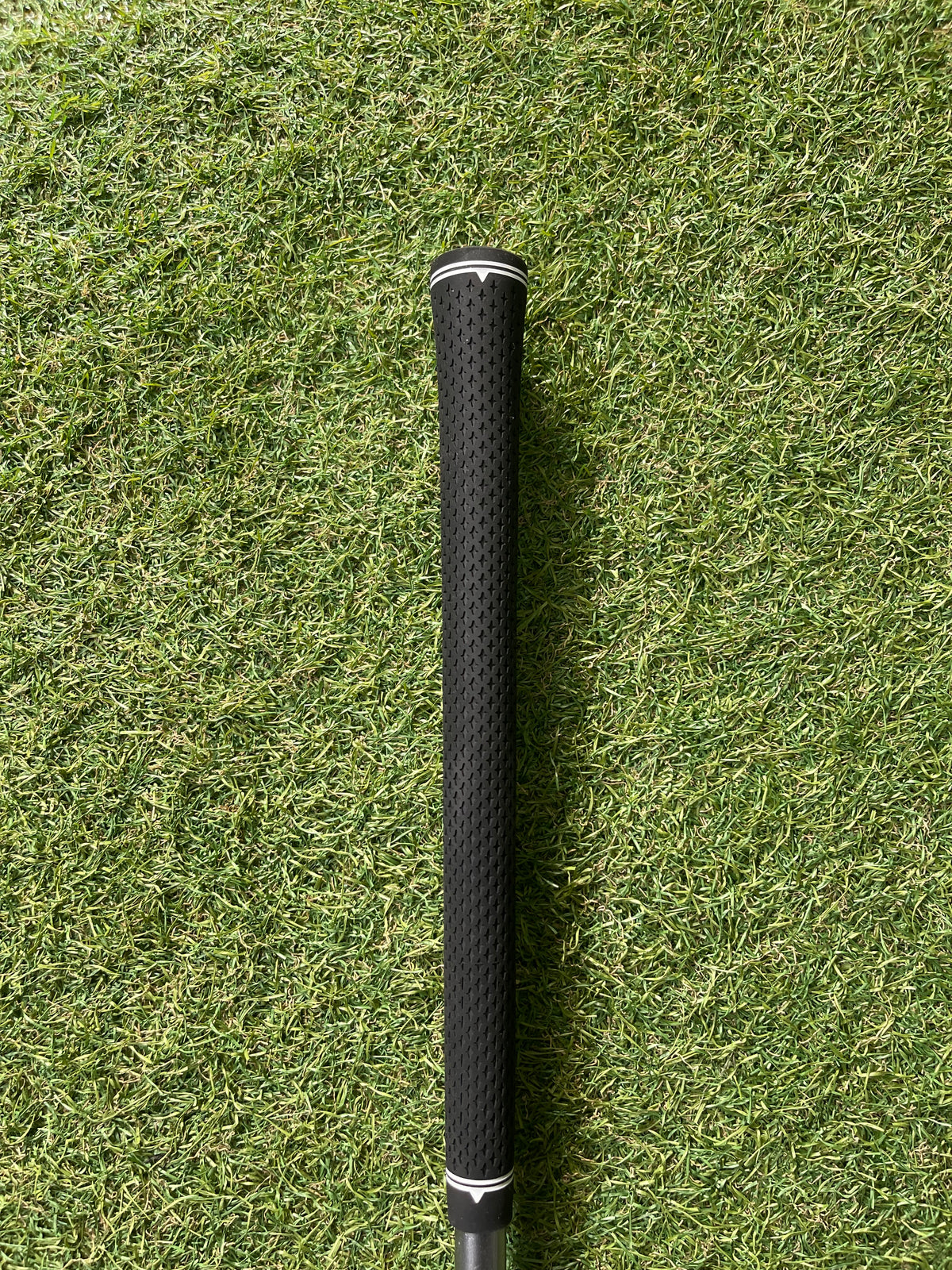 Cleveland Bloom Hibore Hybride 4